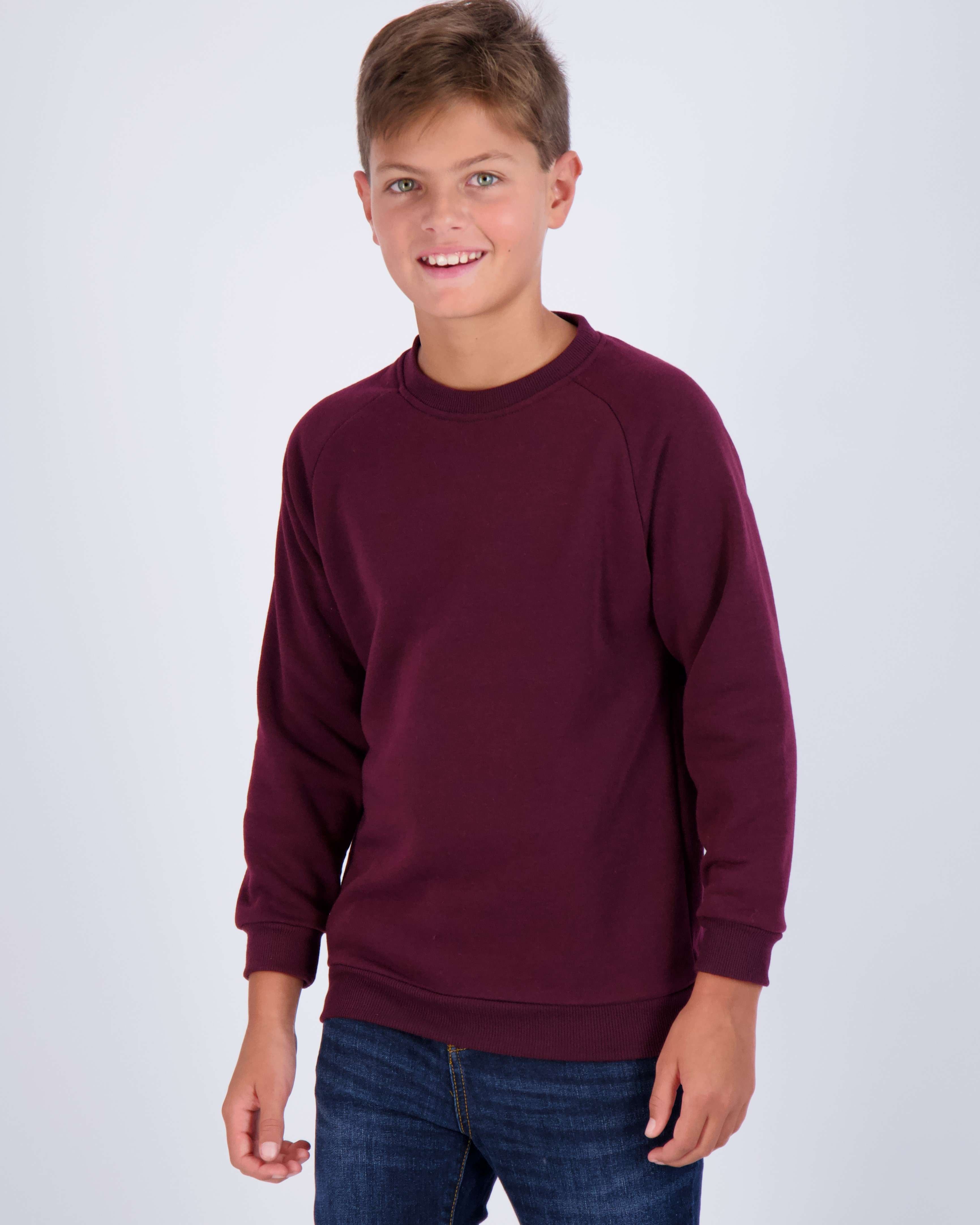 3 Pack: Boys Fleece Crew-Neck Pullover Sweatshirt
